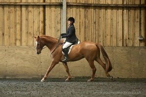 Isis Dressage Crown Farm Show 29th April 2012